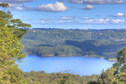 Montville Misty View Cottages - Accommodation Gold Coast 3