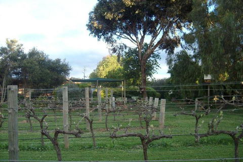 Southern Vales Bed & Breakfast - Gold Coast 4U 7