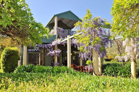 Tree Elle - Accommodation Gold Coast 1