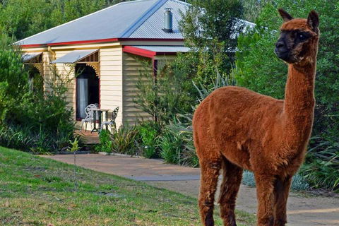Araluen Park Cottages - Gold Coast 4U 6
