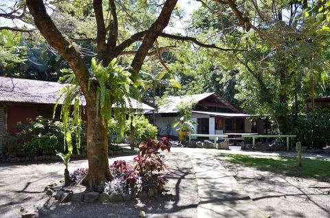 PKs Jungle Village - Hostel - Gold Coast 4U 5