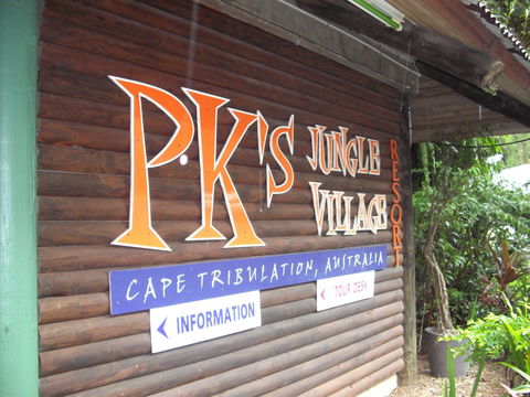 PKs Jungle Village - Hostel - Gold Coast 4U 0