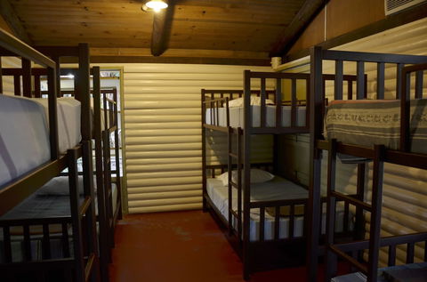 PKs Jungle Village - Hostel - Gold Coast 4U 6