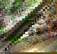 Rainforest Hideaway - Gold Coast 4U