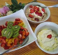 Jacaranda Creek Farmstay  B  B - Accommodation Gold Coast