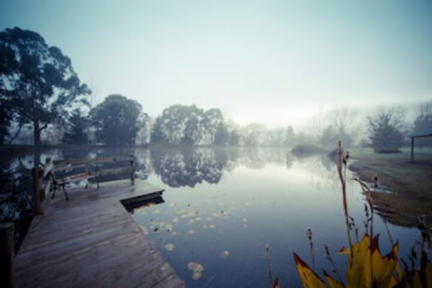 Sanctuary Park Cottages - Accommodation Gold Coast 0