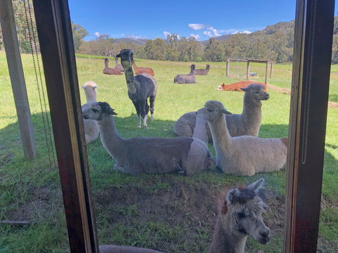 Valley Farm Vineyard Cottages - 1 Gold Coast 2