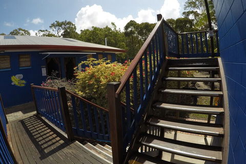 Cool Bananas Backpackers - Accommodation Gold Coast 5