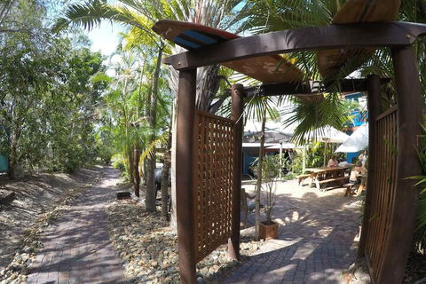 Cool Bananas Backpackers - Accommodation Gold Coast 6