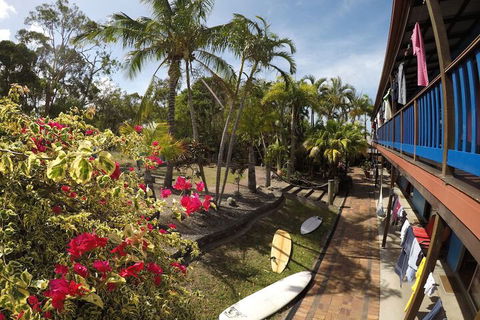 Cool Bananas Backpackers - Accommodation Gold Coast 2