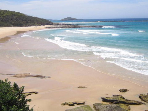Milton Bed & Breakfast - Accommodation Gold Coast 5