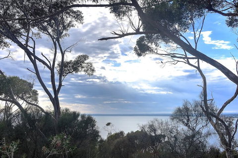 Wanderers Rest Of Kangaroo Island - 1 Gold Coast 7