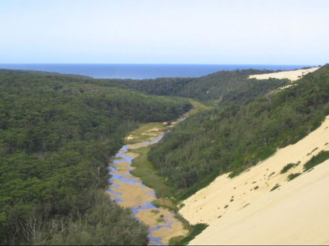 Captains Lodge International & VIP Restaurant - Accommodation Gold Coast 3
