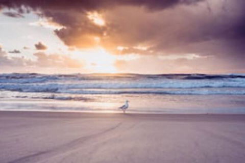 Blue Waters Motel - Gold Coast 4U 0