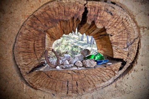Snowy Wilderness - Accommodation Gold Coast 1