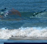 Summerhills Retreat Byron Bay - Accommodation Gold Coast