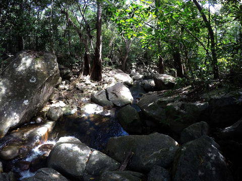Mungumby Lodge - Cooktown - Accommodation Gold Coast 2