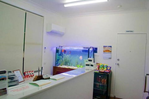 Buckaroo Motor Inn - Accommodation Gold Coast 4