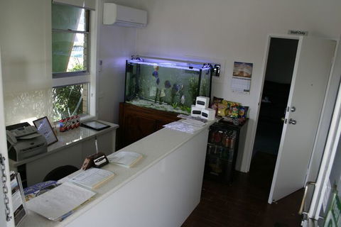 Buckaroo Motor Inn - Accommodation Gold Coast 1