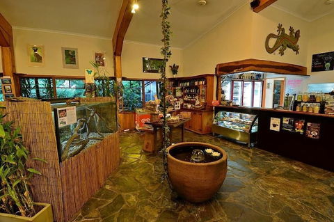 Lync Haven Rain Forest Retreat - Accommodation Gold Coast 0