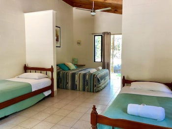 Lync Haven Rain Forest Retreat - Accommodation Gold Coast 6