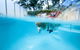 Little Cove Court - thumb 3