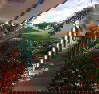 Tropical Palms - Gold Coast 4U