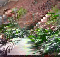 Edge of the Forest - Accommodation Gold Coast