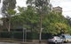 Cambridge Lodge - Hostel - thumb 1
