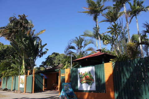 JJs Backpackers Hostel - Accommodation Gold Coast 1