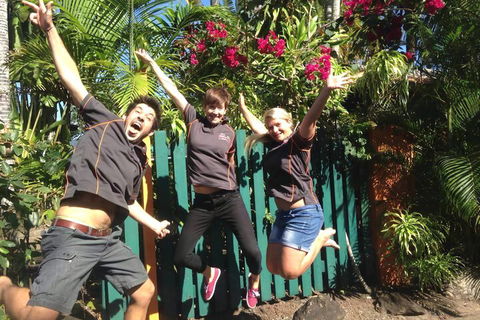 JJs Backpackers Hostel - Accommodation Gold Coast 6