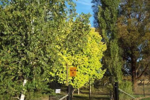 Ophir Gold Bed & Breakfast - Gold Coast 4U 2
