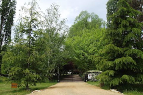Ophir Gold Bed & Breakfast - Gold Coast 4U 0