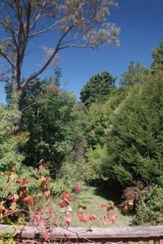 Leura Lady - Gold Coast 4U 3