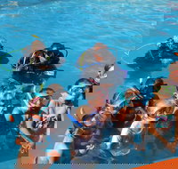 Warrnambool Motel and Holiday Park - 1 Gold Coast