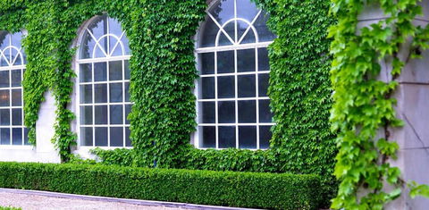 Milton Park Country House Hotel & Spa - Accommodation Gold Coast 0
