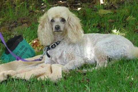 Granite Gardens Cottages & Lake Retreat - Accommodation Gold Coast 6