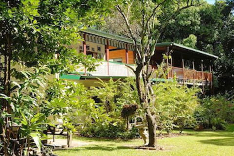 Red Mill House In Daintree - Gold Coast 4U 5