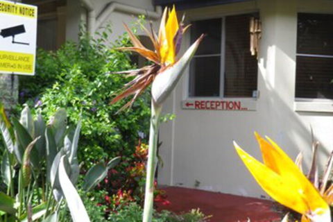Ocean Shores Motel - Gold Coast 4U 2