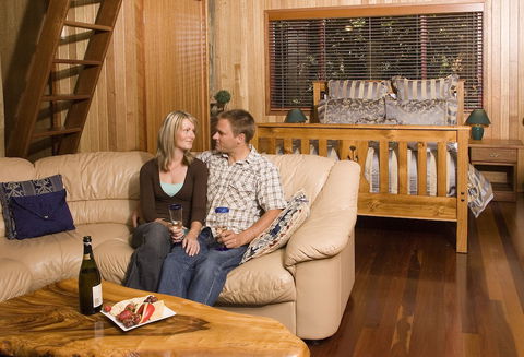Springbrook Lyrebird Retreat - Accommodation Gold Coast 5