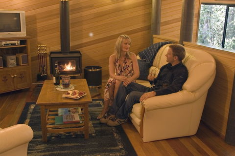 Springbrook Lyrebird Retreat - Accommodation Gold Coast 1