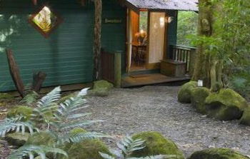 Springbrook Lyrebird Retreat - Accommodation Gold Coast 0