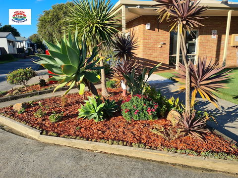 Chelsea Holiday Park - Accommodation Gold Coast 2