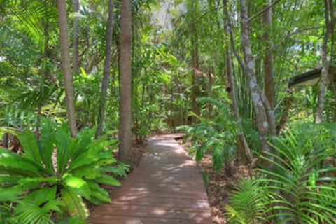 Montville Grove - Accommodation Gold Coast 0