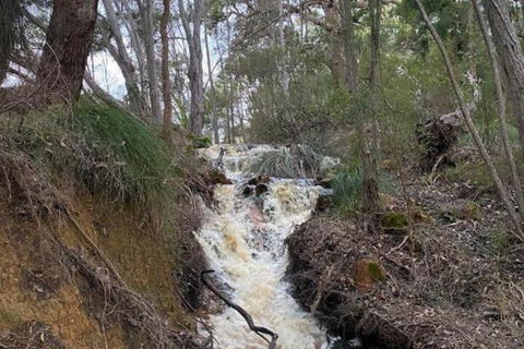 Donnelly Lakes - Accommodation Gold Coast 5