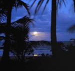Sejala Beach Huts - Accommodation Gold Coast
