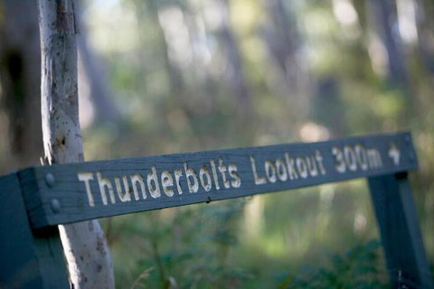 16 Gregson Silky Oaks - 1 Gold Coast 6