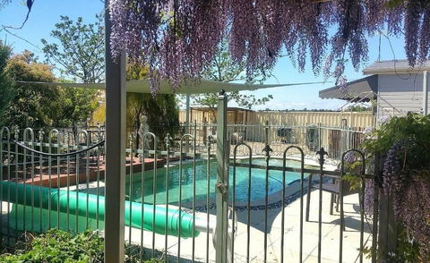 Must Love Dogs B&b - Gold Coast 4U 0