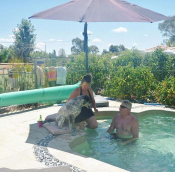Must Love Dogs B&b - Gold Coast 4U 1