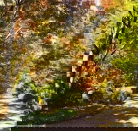 Chalets Lumineux - 1 Gold Coast